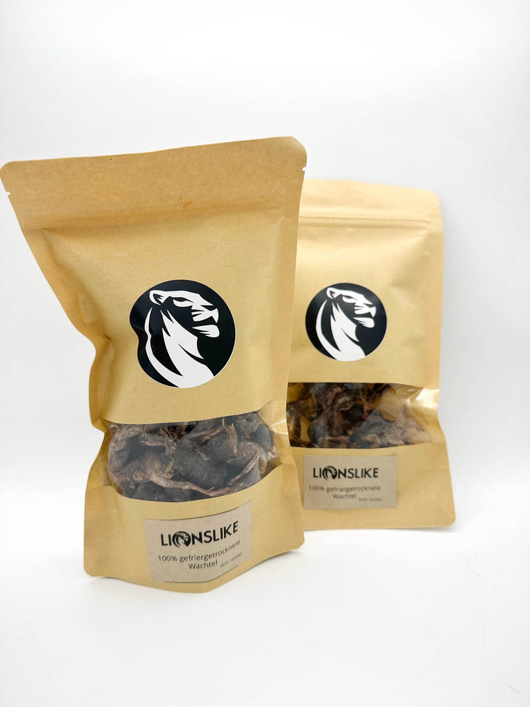 LionsLike Snacks