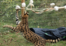 LionsLike XL Sisal-Angel