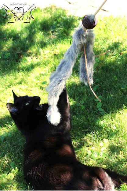 LionsLike Lederangel