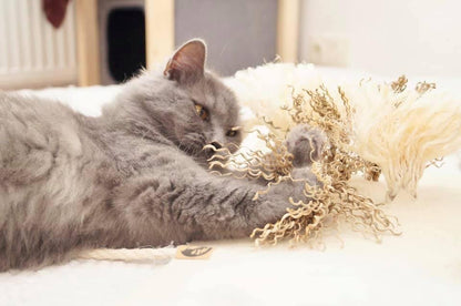 LionsLike Sinnesmatte