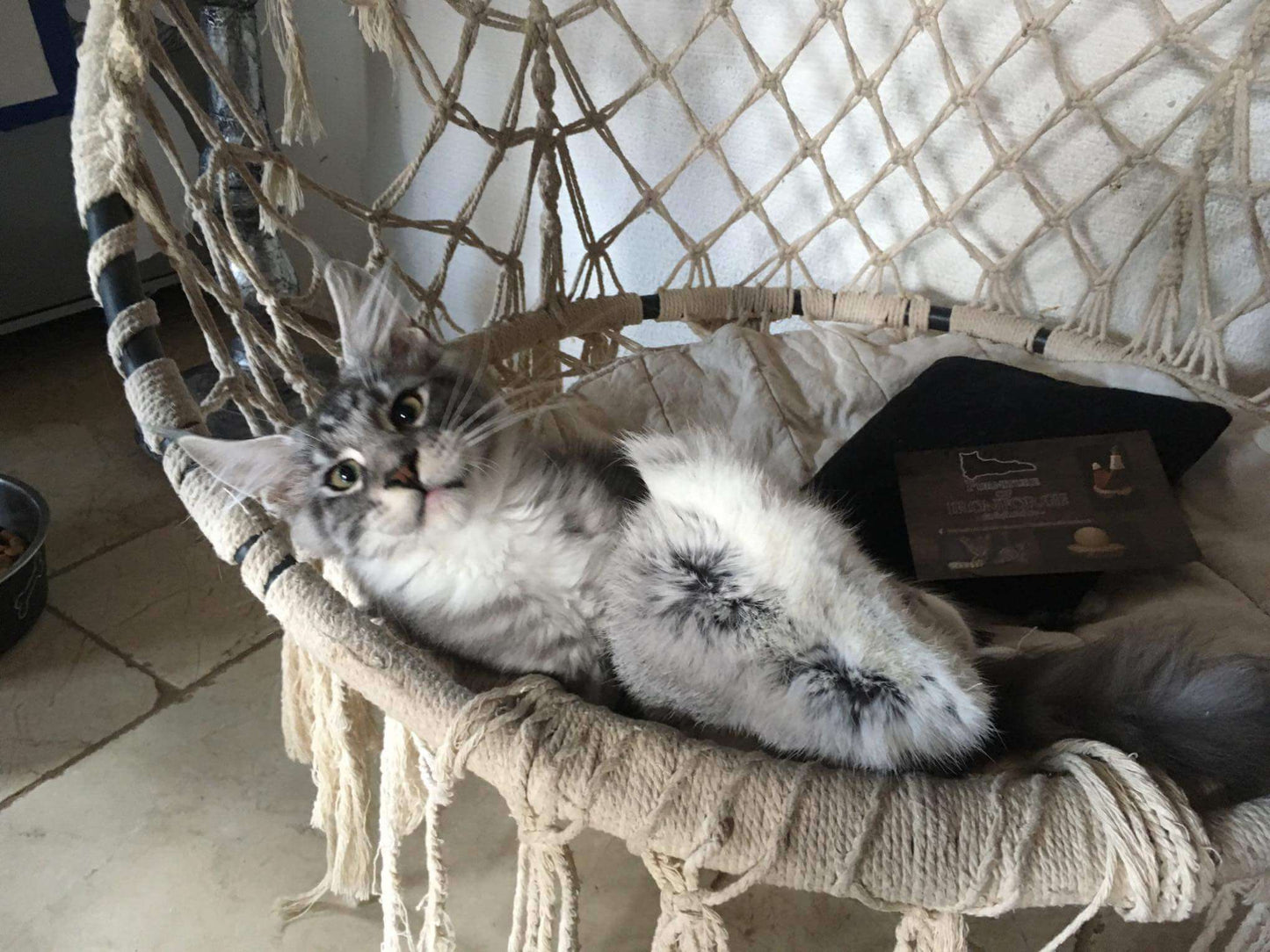 LionsLike Kuschelkissen