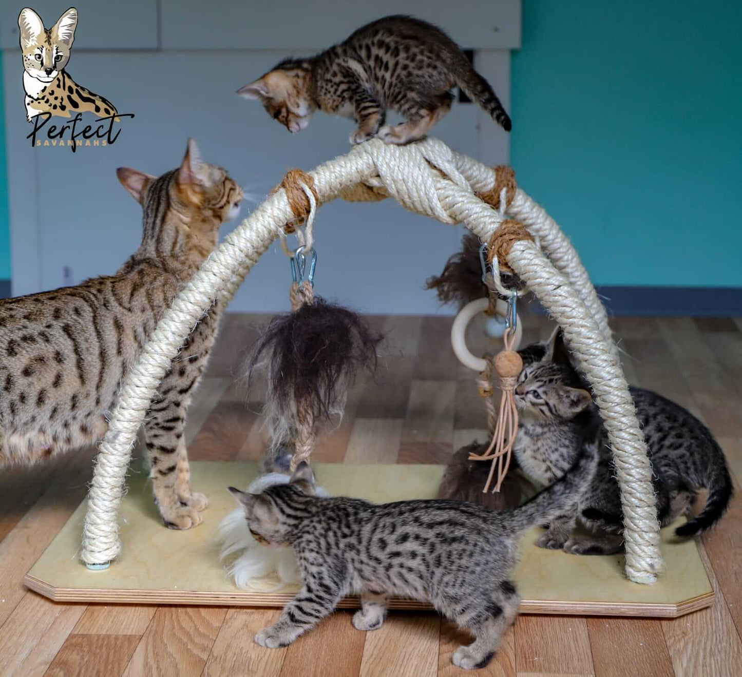 LionsLike Spielbogen