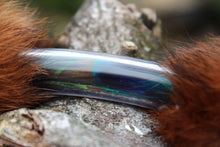 LionsLike SeelenSchlange