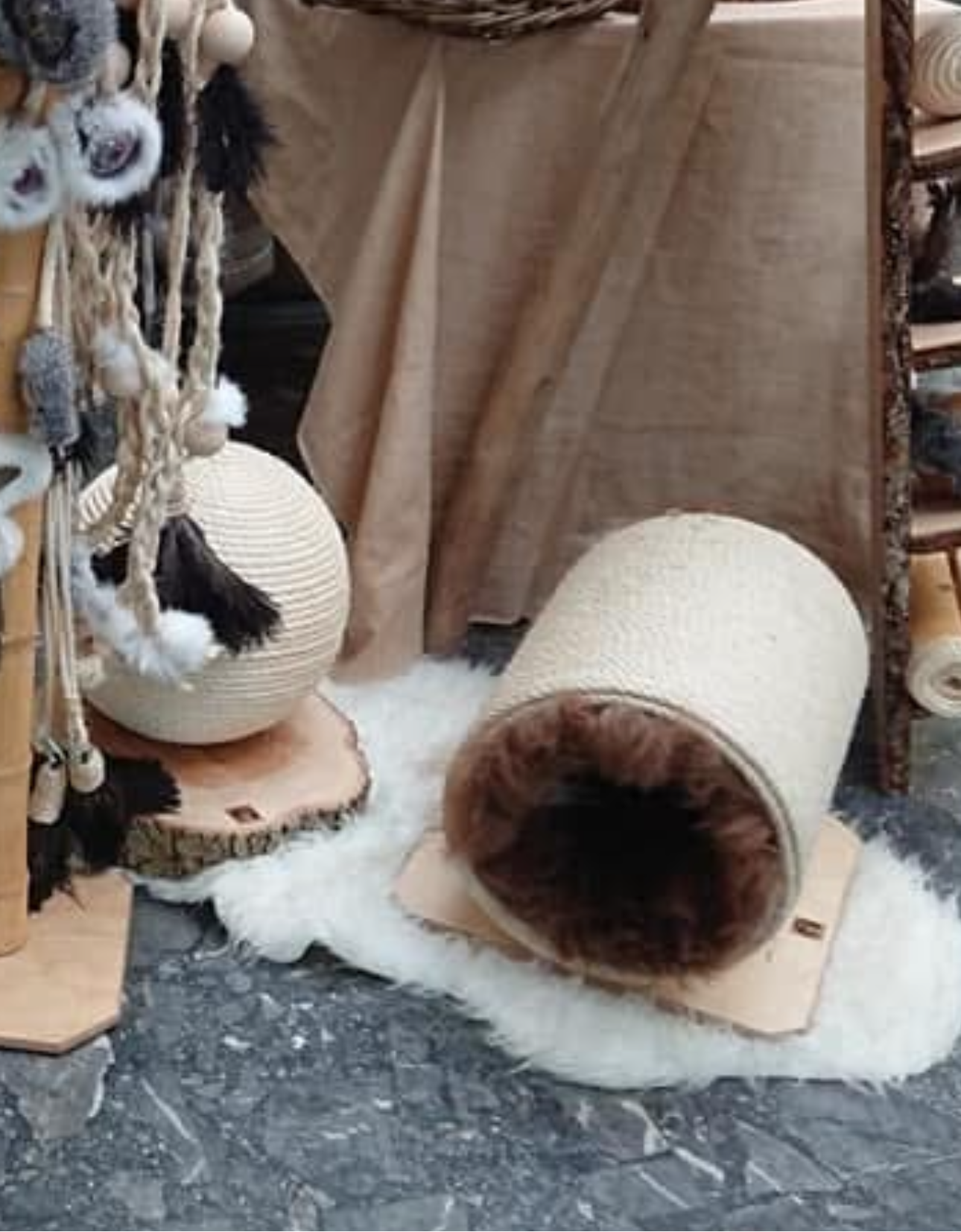 LionsLike Kratztunnel