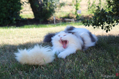 LionsLike Zwitscherkissen