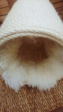 LionsLike Kratztunnel