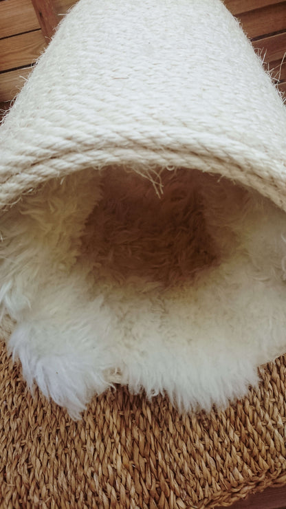 LionsLike Kratztunnel