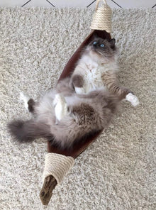 LionsLike Kokosschiffchen