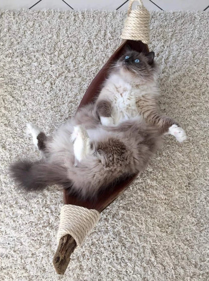 LionsLike Kokosschiffchen