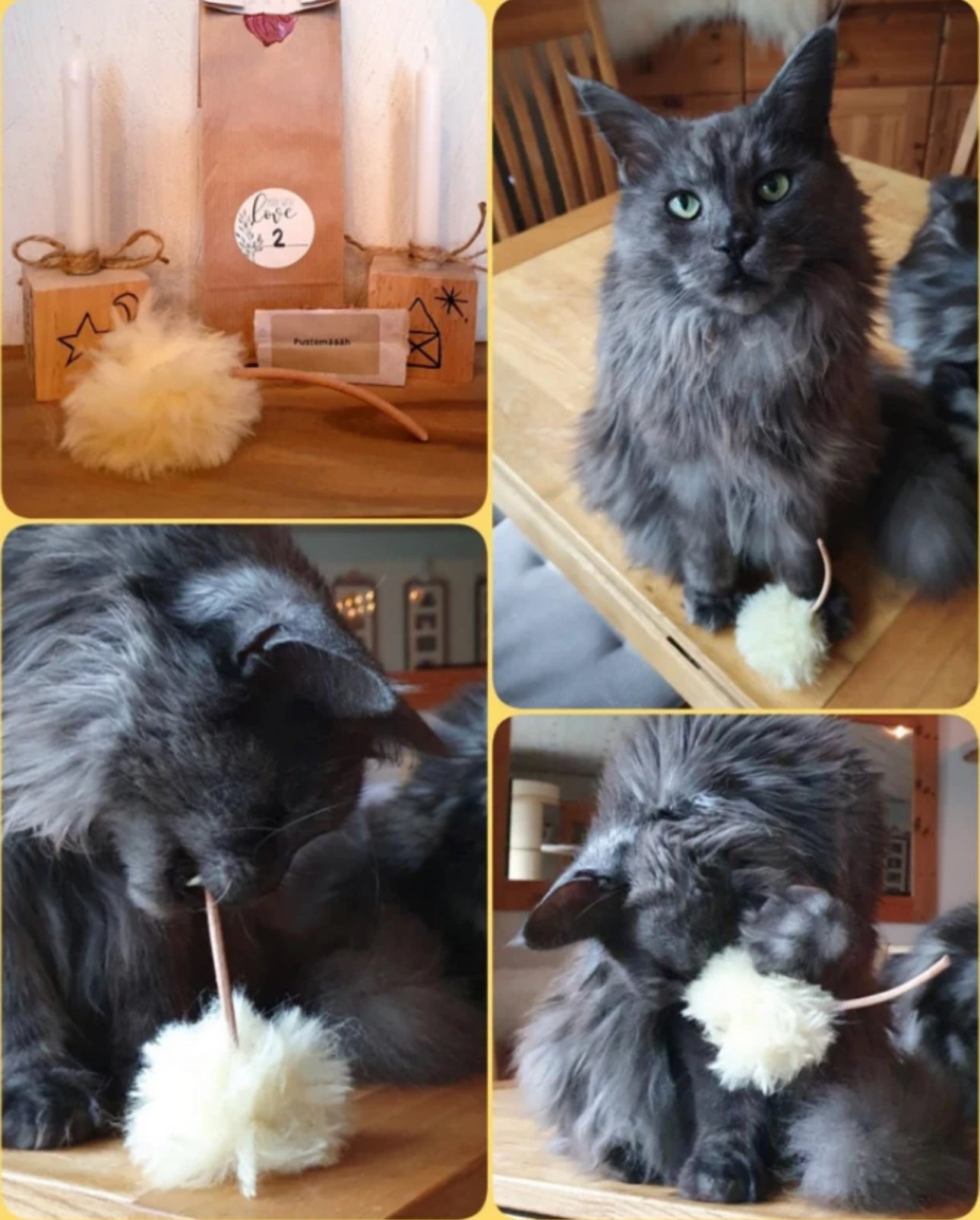 LionsLike Pustemäääh