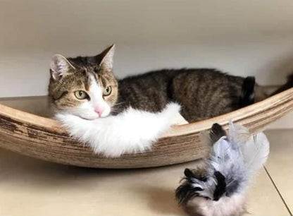 LionsLike Kokosschiffchen