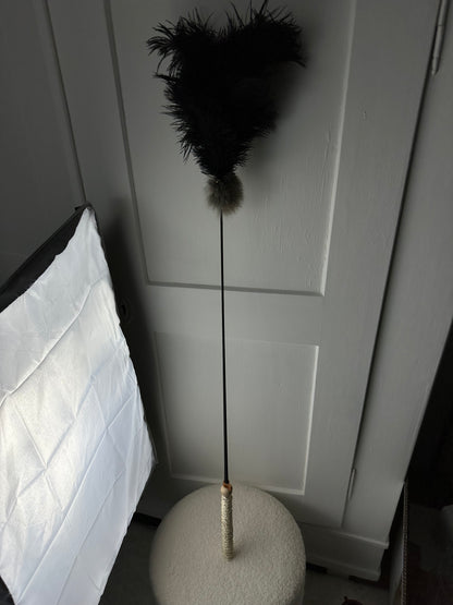 LionsLike Action-wedel