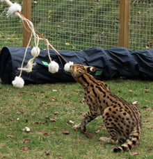 LionsLike XL Sisal-Angel