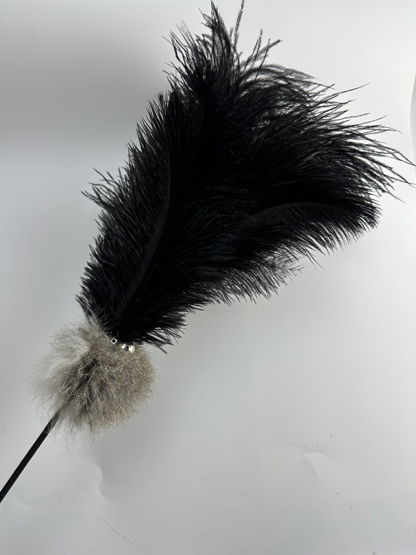 LionsLike Action-wedel