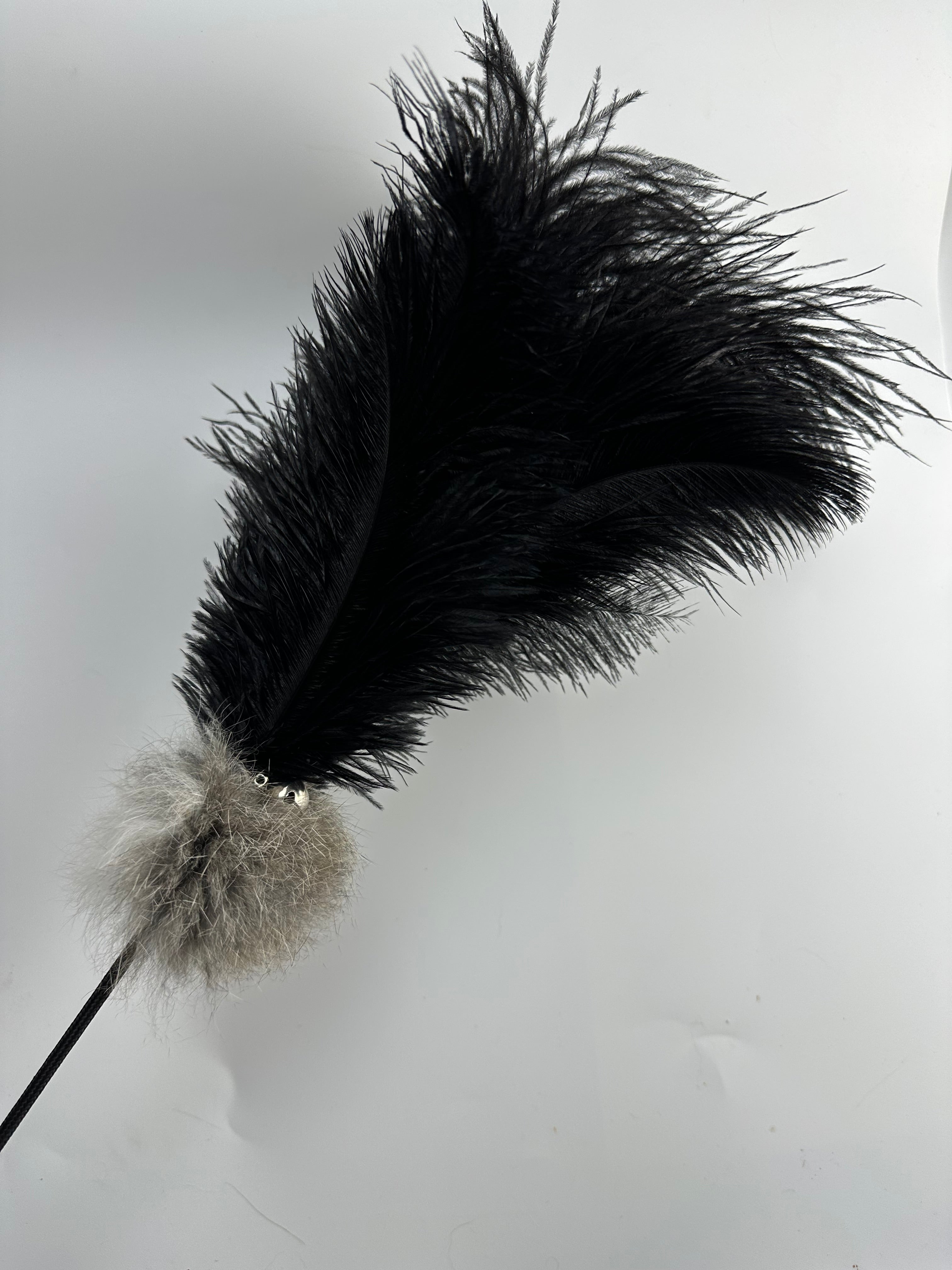 LionsLike Action-wedel