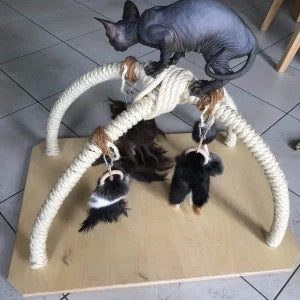 LionsLike Spielbogen