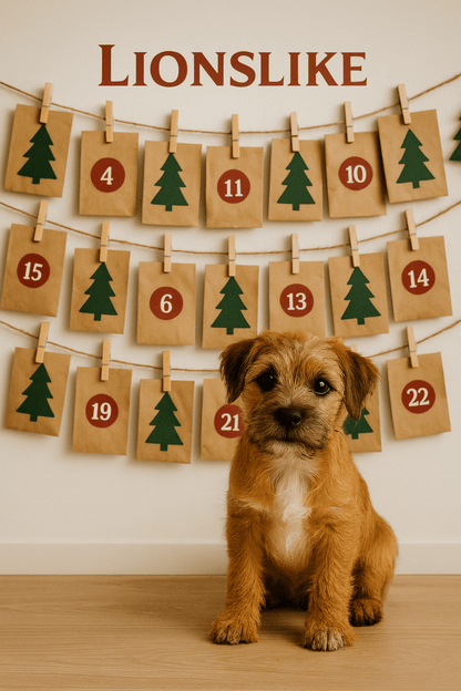 LionsLike Adventskalender 2025