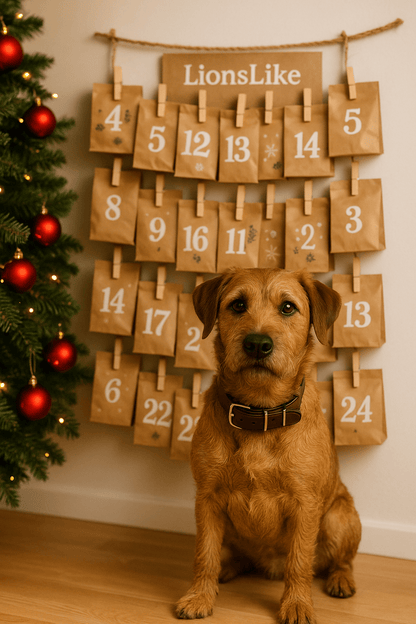 LionsLike Adventskalender 2025