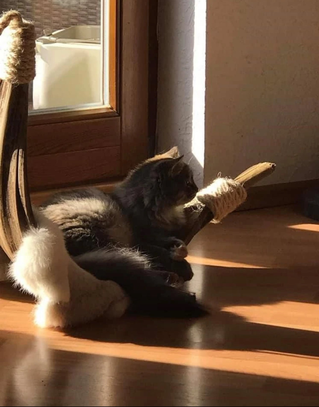 LionsLike Kokosschiffchen