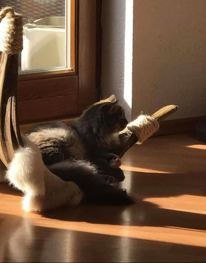 LionsLike Kokosschiffchen