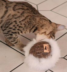 LionsLike Kokosklacker