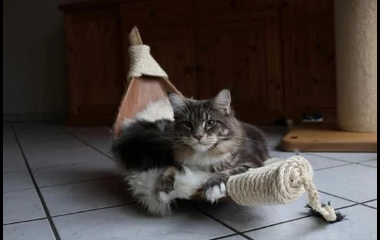 LionsLike Kokosschiffchen