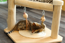 LionsLike Kitten - Spielbarren