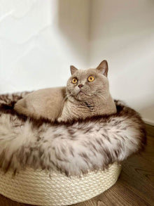 LionsLike Muldenkörbchen