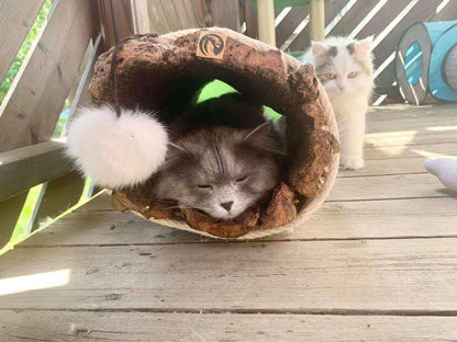 LionsLike Korktunnel