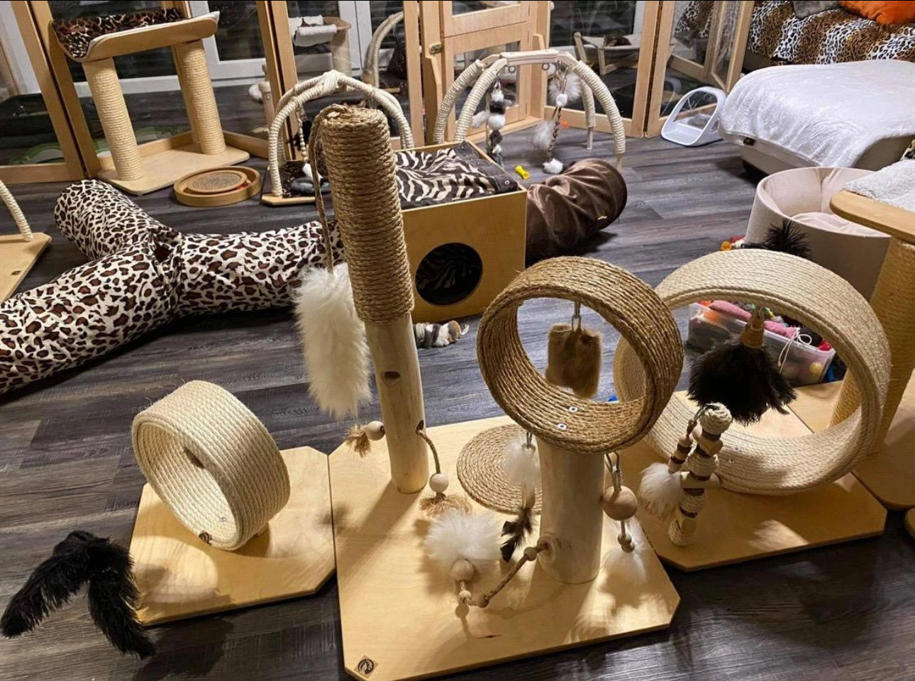 LionsLike  Second Playground