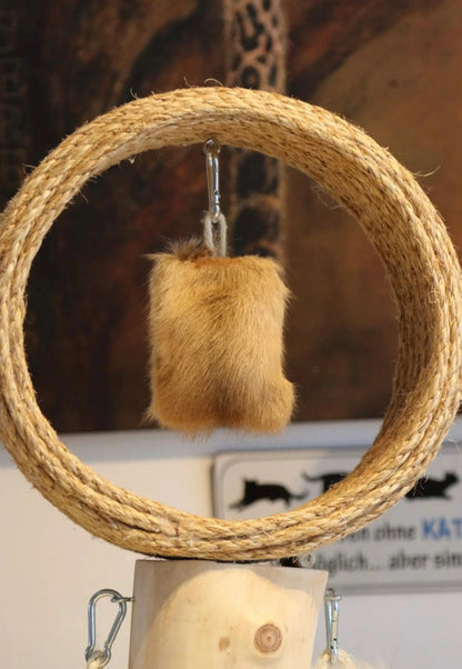 LionsLike  Second Playground