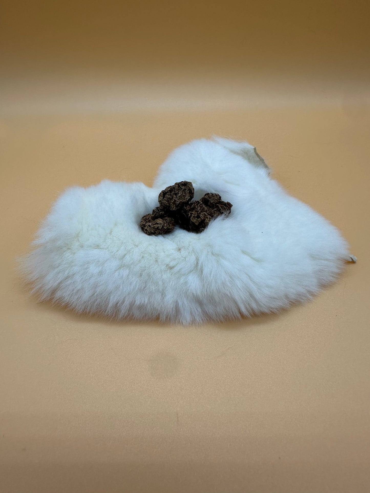 LionsLike SchmusiDrop