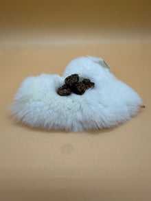 LionsLike SchmusiDrop