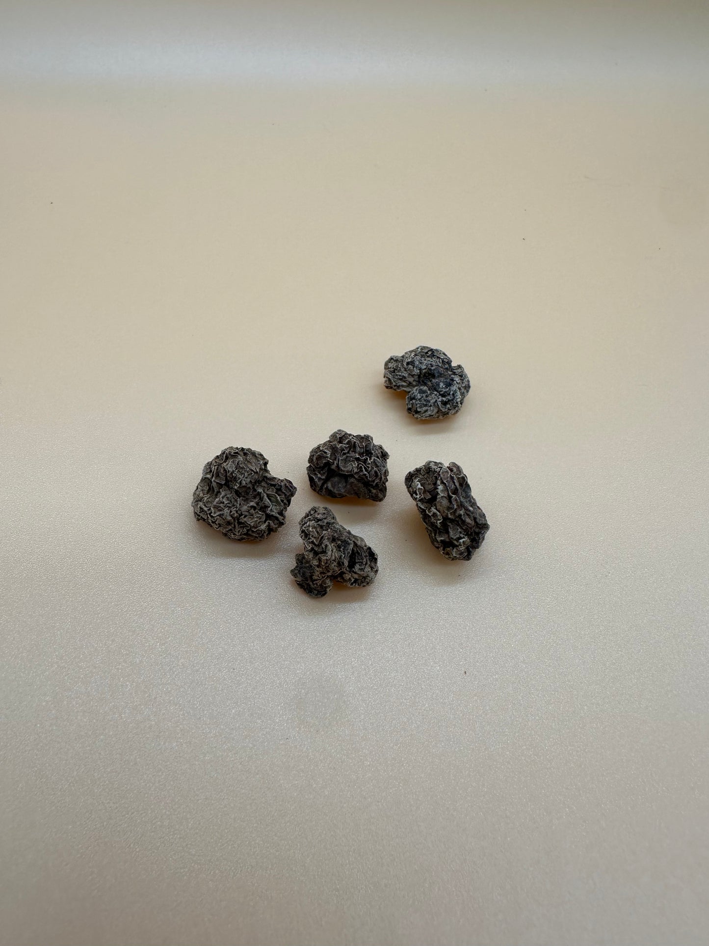 LionsLike SchmusiDrop