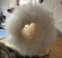 LionsLike Kratztunnel