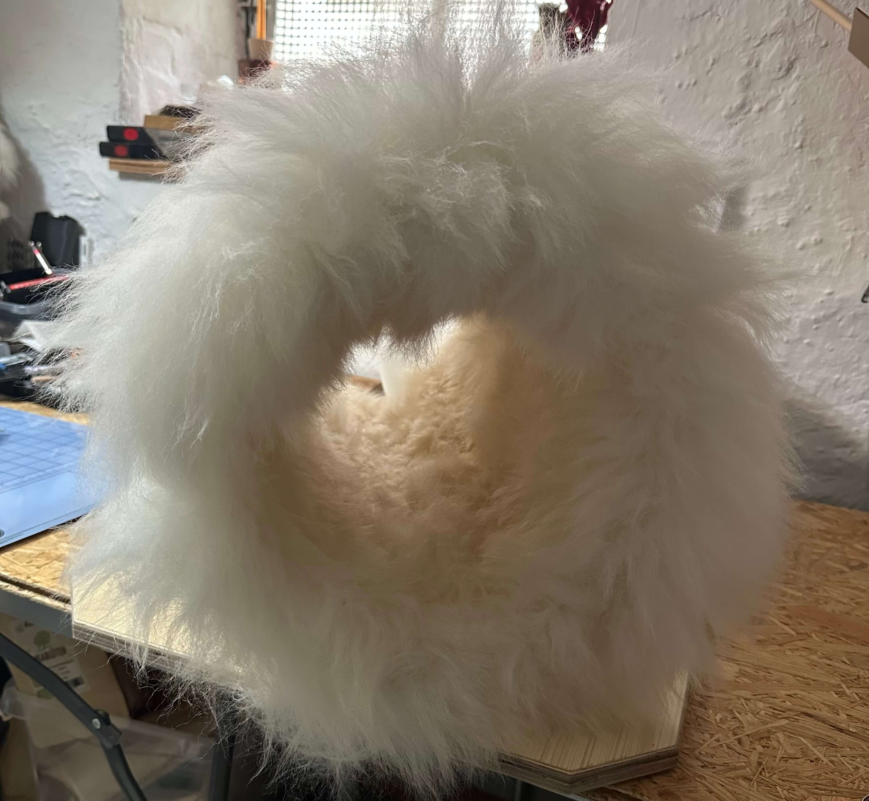 LionsLike Kratztunnel