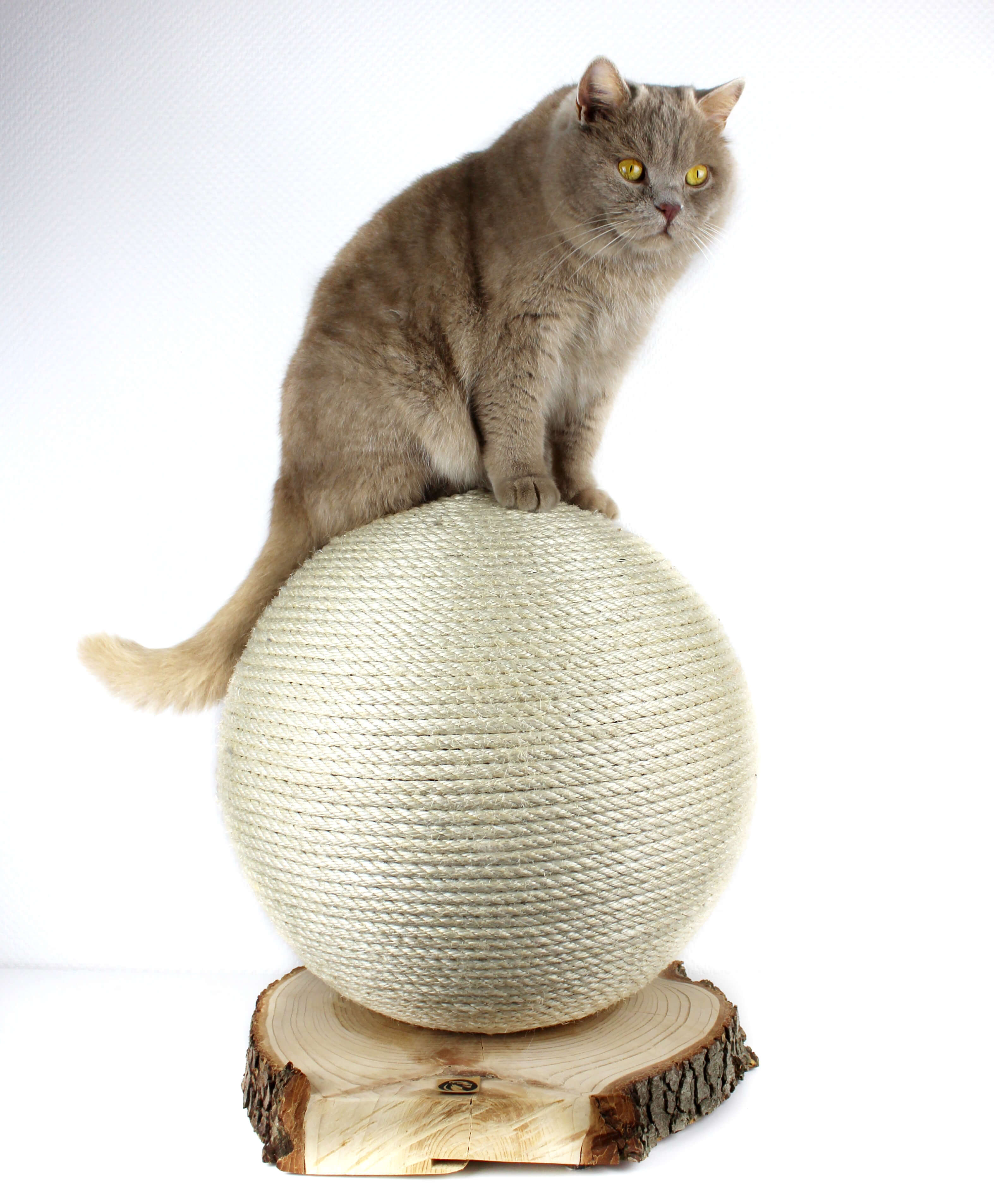 LionsLike Kratzkugel