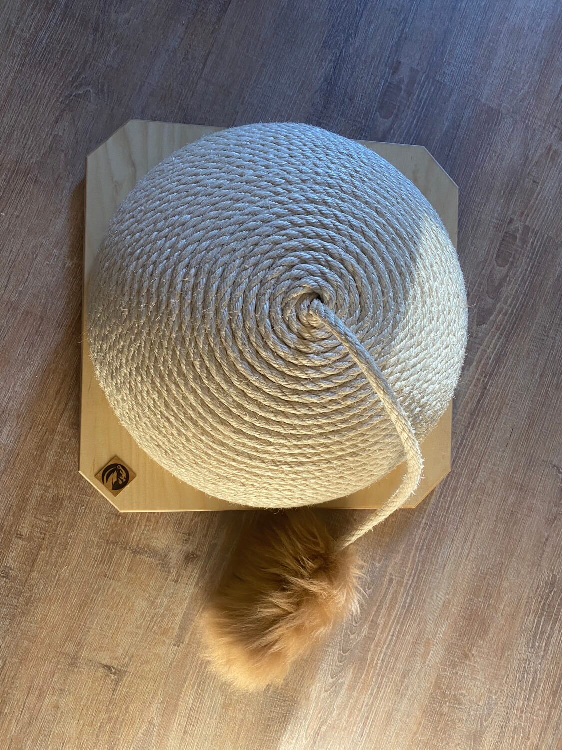 LionsLike Kratzkugel