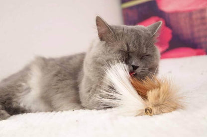 LionsLike Springbockring