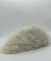 LionsLike Mr. Riddle