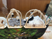 LionsLike Spielbogen SMALL Edetion