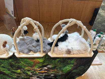 LionsLike Spielbogen SMALL Edetion