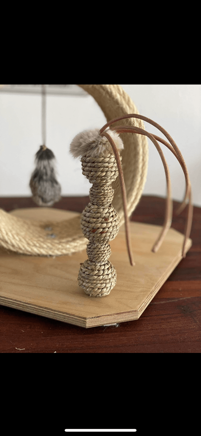 LionLike Knabberzeit