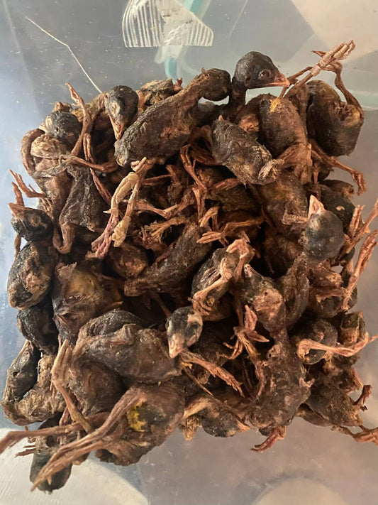 LionsLike  Wachteln Gefriergetrockentete