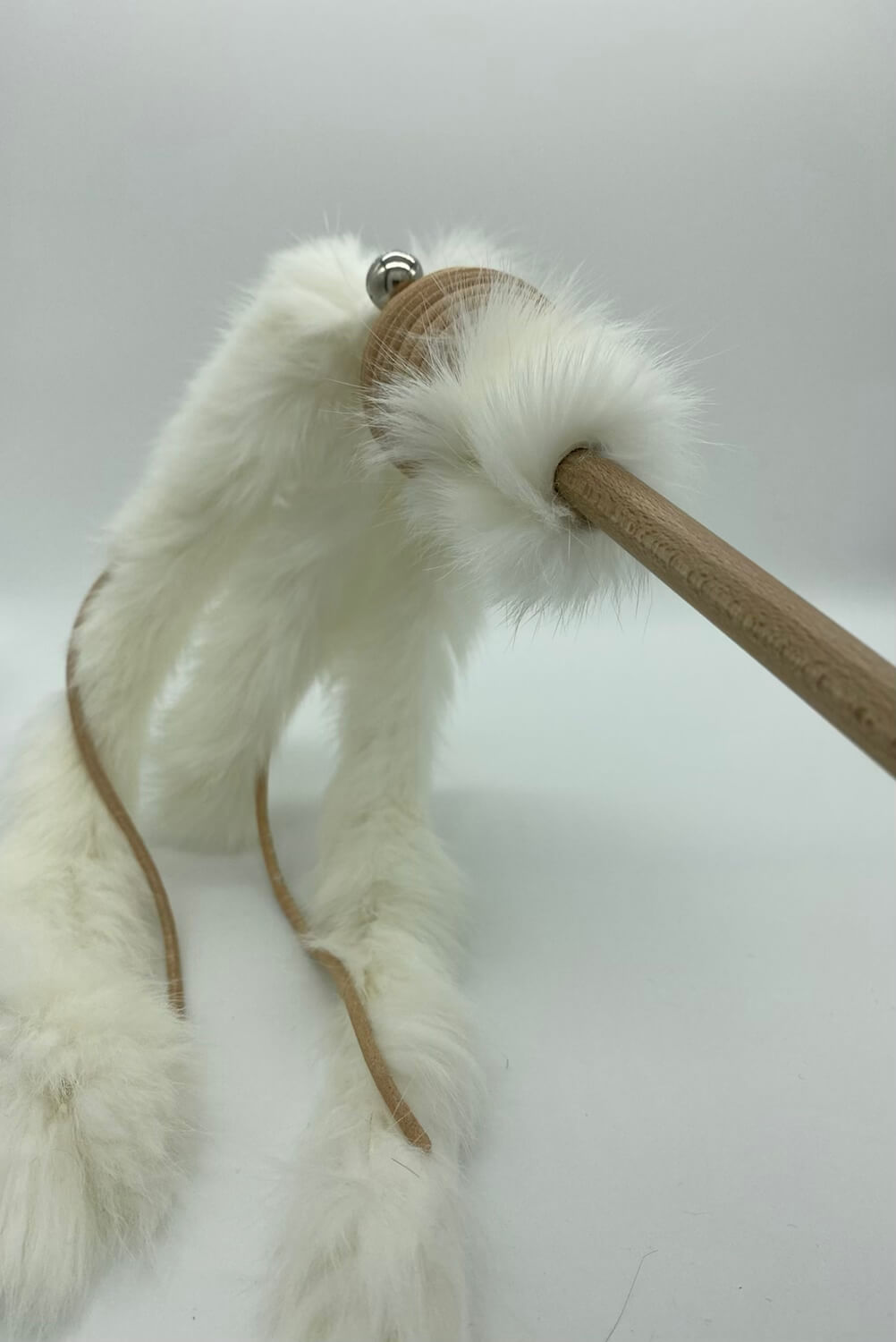 LionsLike Lederangel