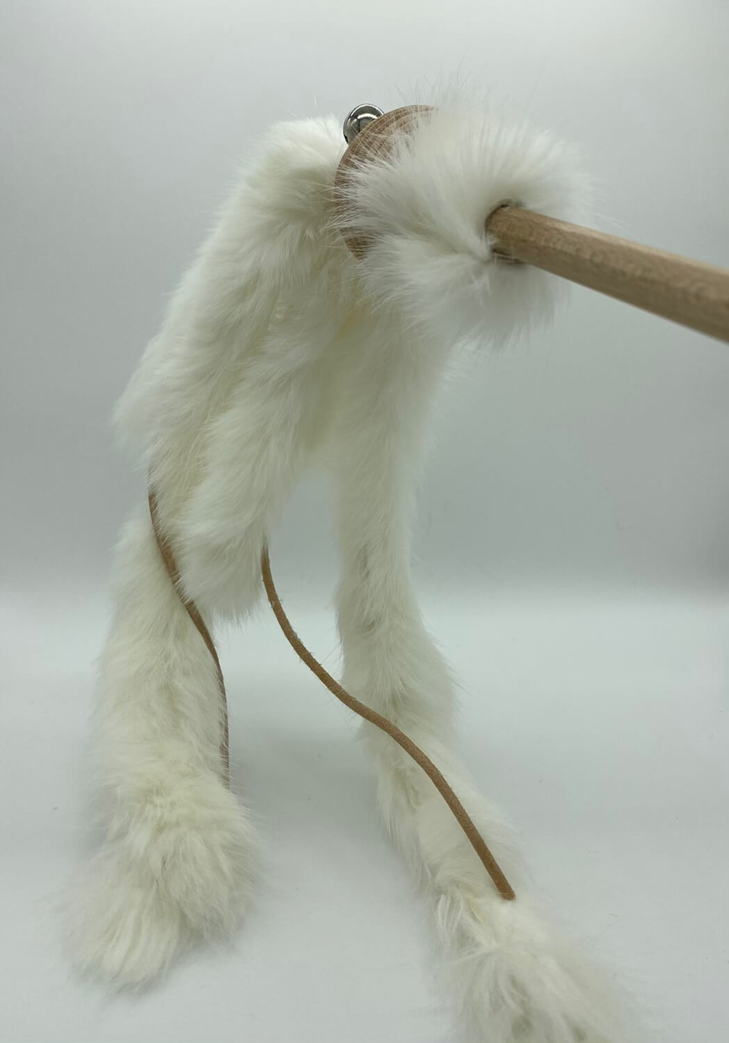 LionsLike Lederangel