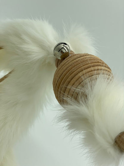 LionsLike Lederangel