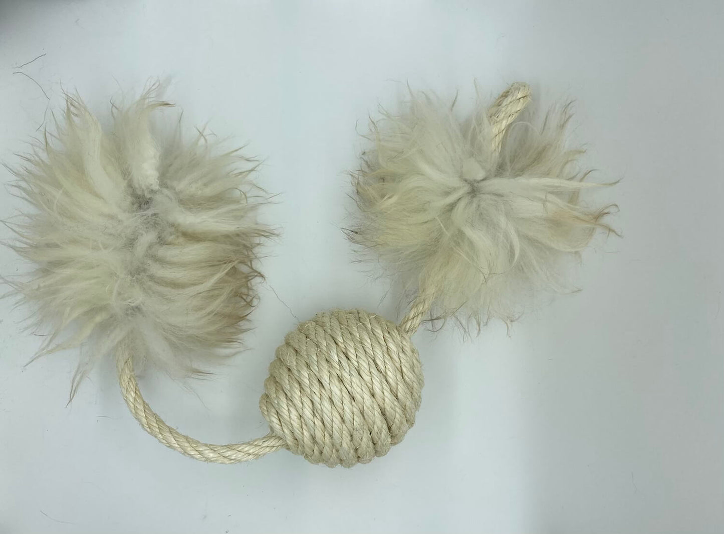 LionsLIke XL Bommler