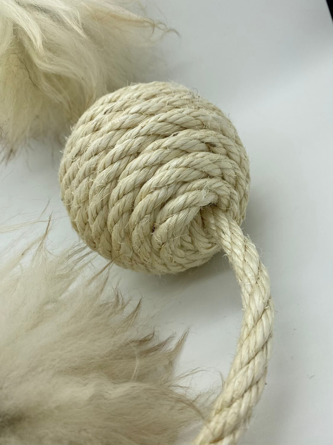 LionsLIke XL Bommler