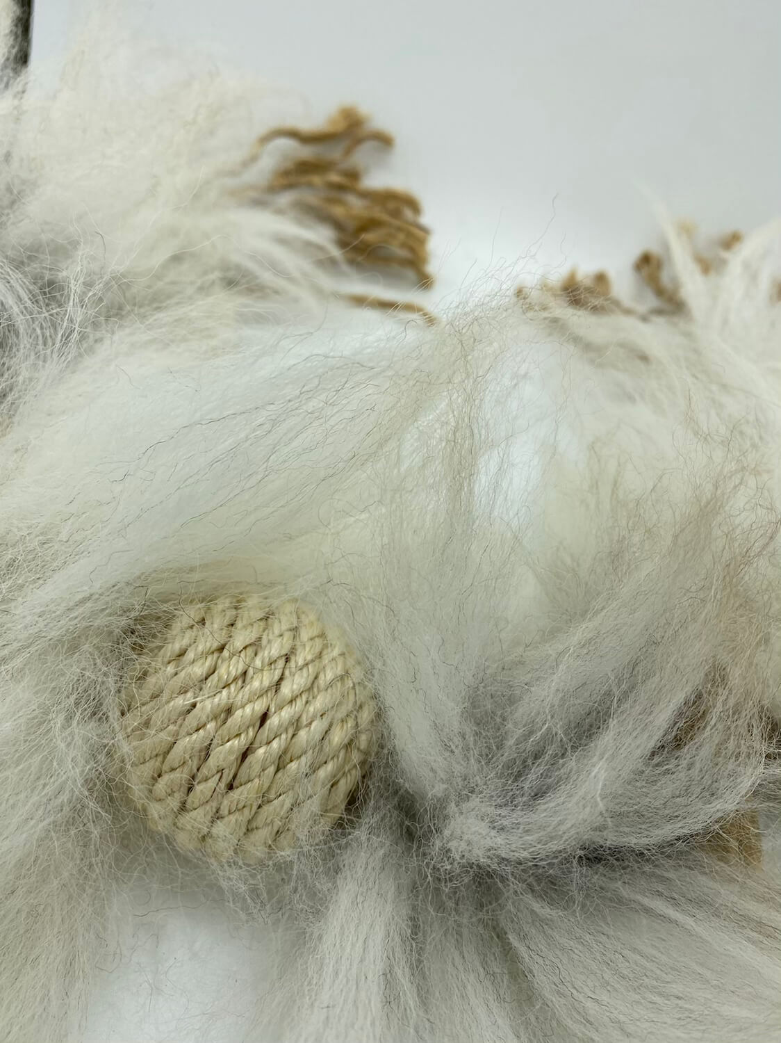 LionsLike Manila Schlange